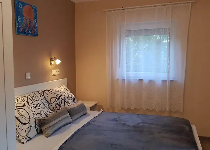 Apartman Timiba *